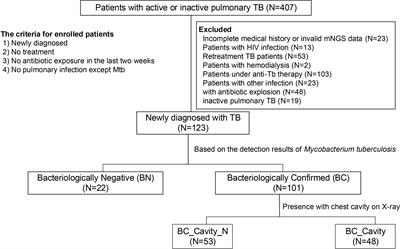 Pathogen Metagenomics Reveals Distinct Lung Microbiota Signatures Between Bacteriologically Confirmed and Negative Tuberculosis Patients